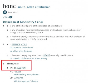 bones - bones-Bgvlz