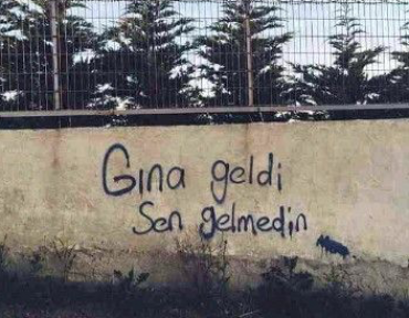 gına - gina-sqkVX