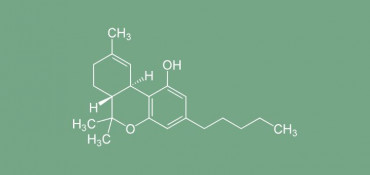 thc - kumbarabaz-UBv5Z