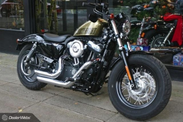 harley davidson - yesilpasaportlu-9iMi1