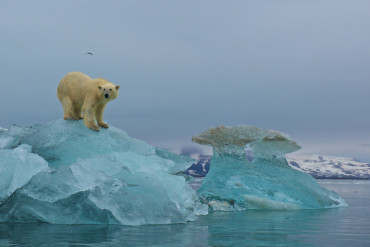 svalbard - yollarda-bul-beni-9yCHm